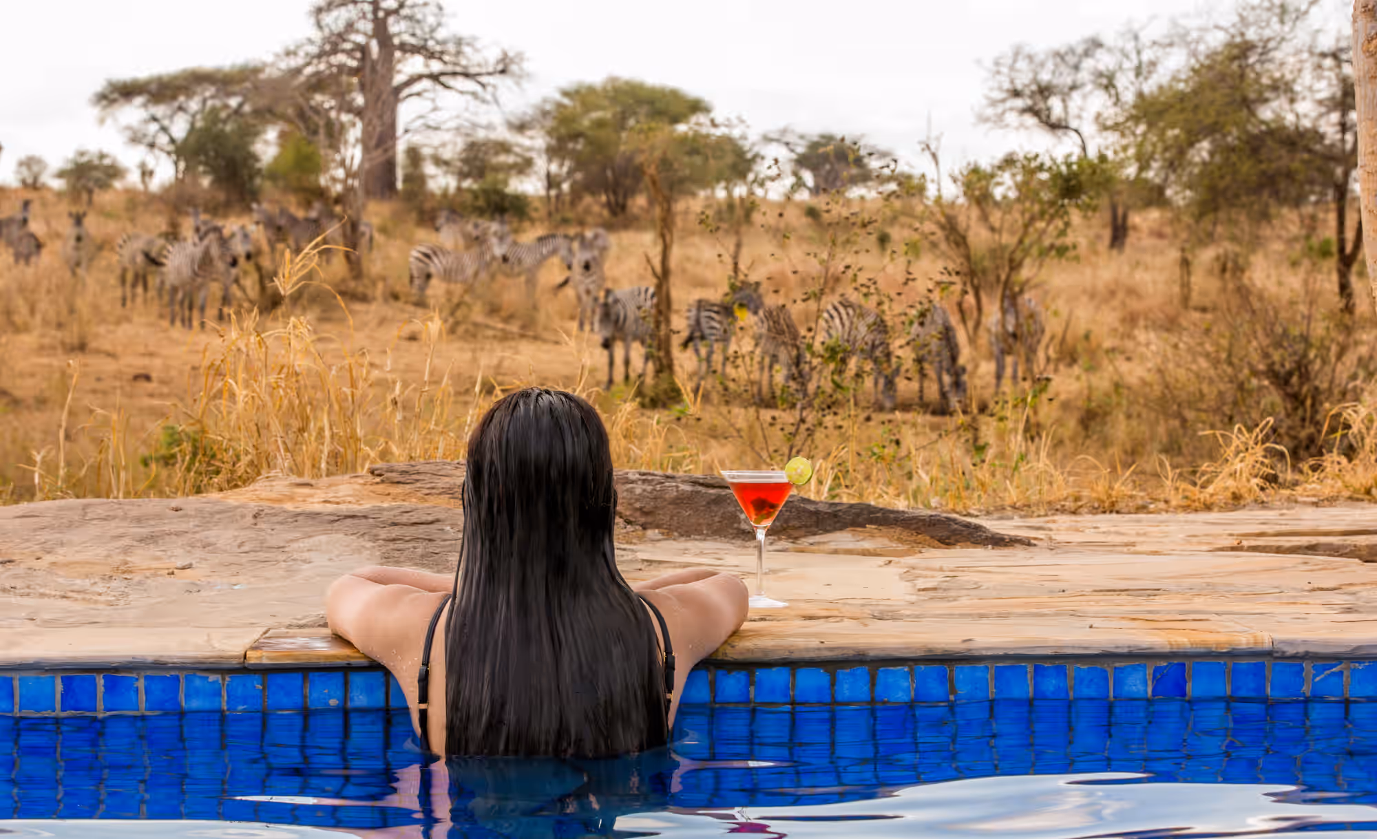Nimali Tarangire Camp gallery 2