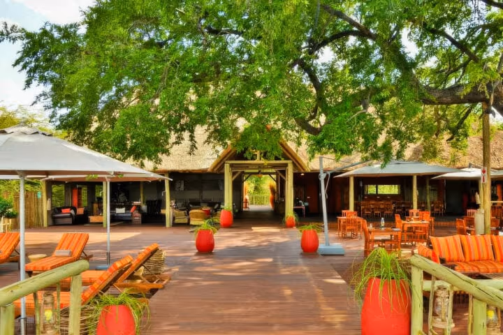 Jackalberry Camp (Jackalberry Chobe) gallery 1