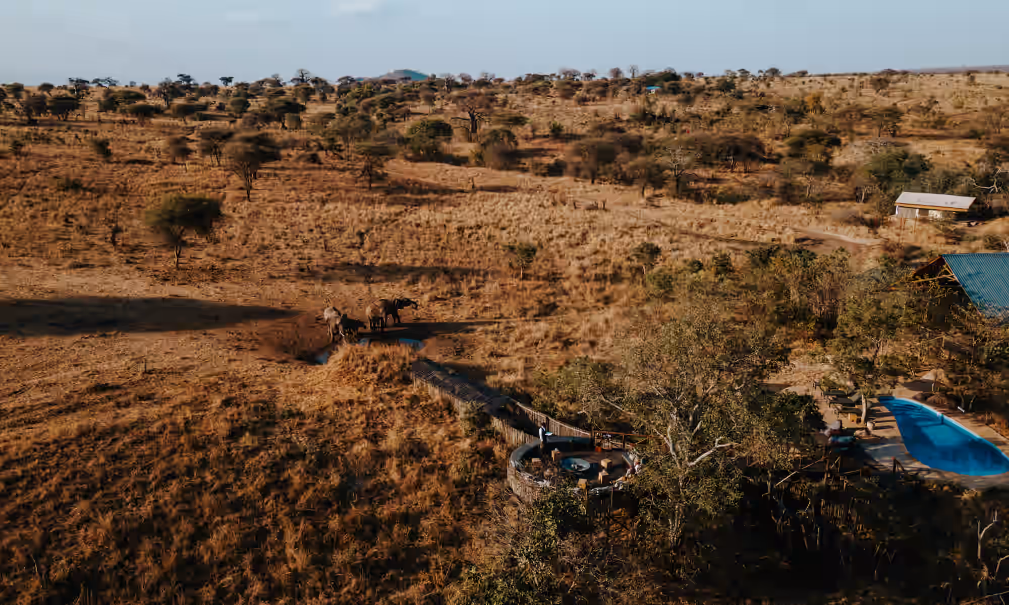 Nimali Tarangire Camp gallery 1