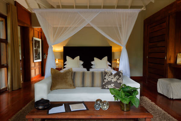 Luxury Contemporary African Suite / Chalet