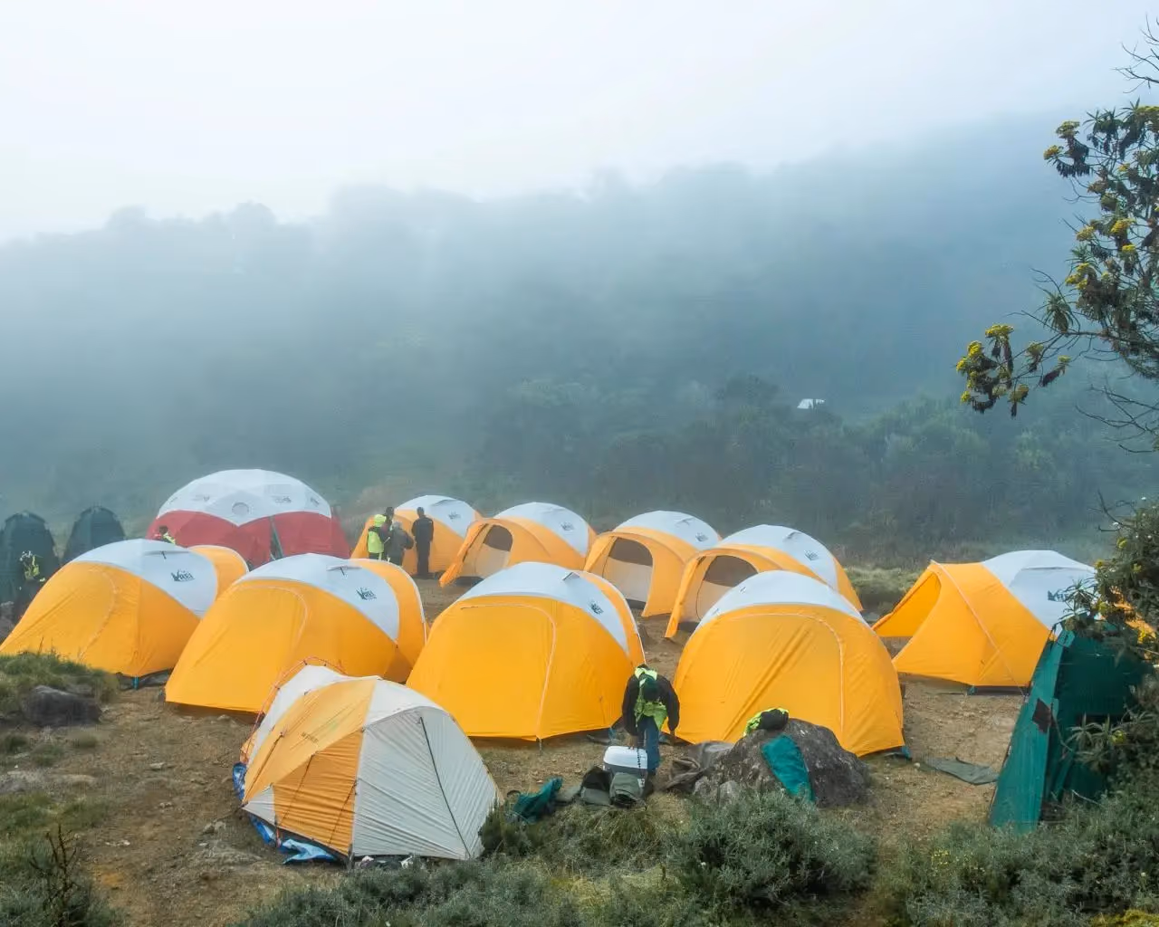 All-Weather Mountain Tent