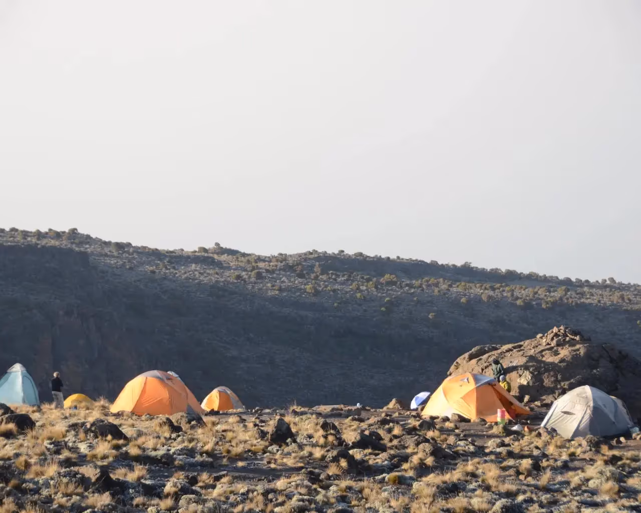Private Tent