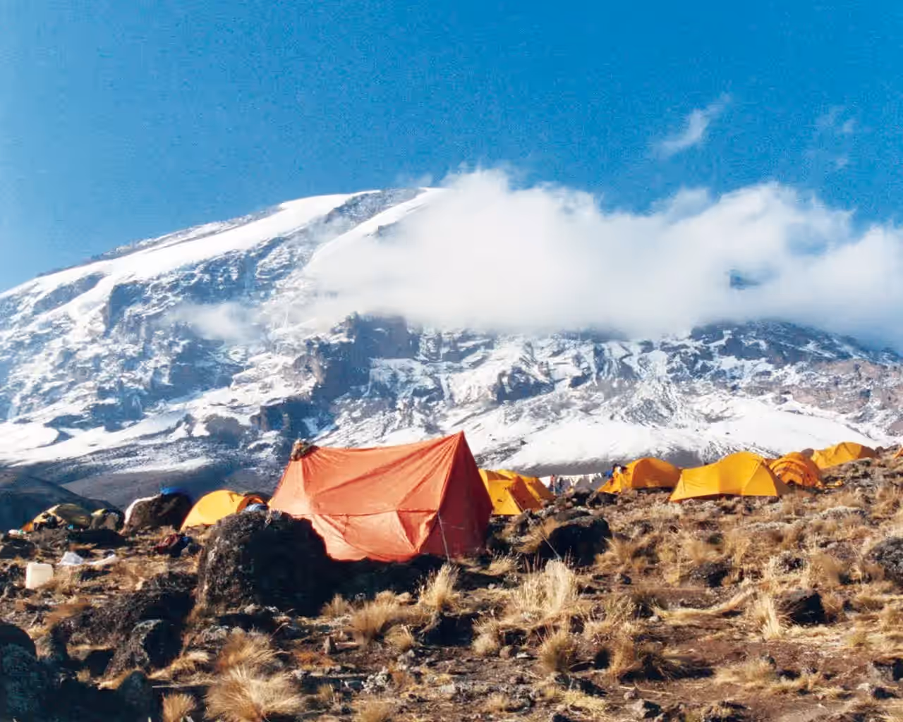 Karanga Camp gallery 2
