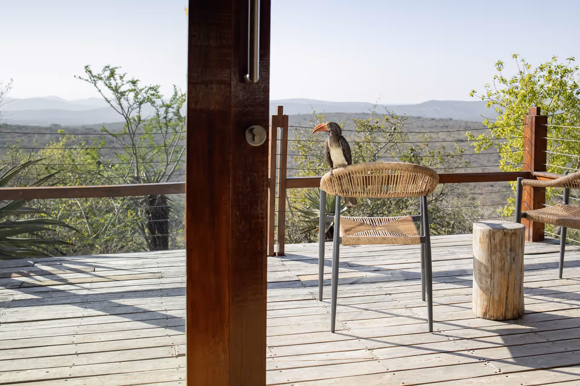 Rhino Ridge Safari Lodge gallery 8