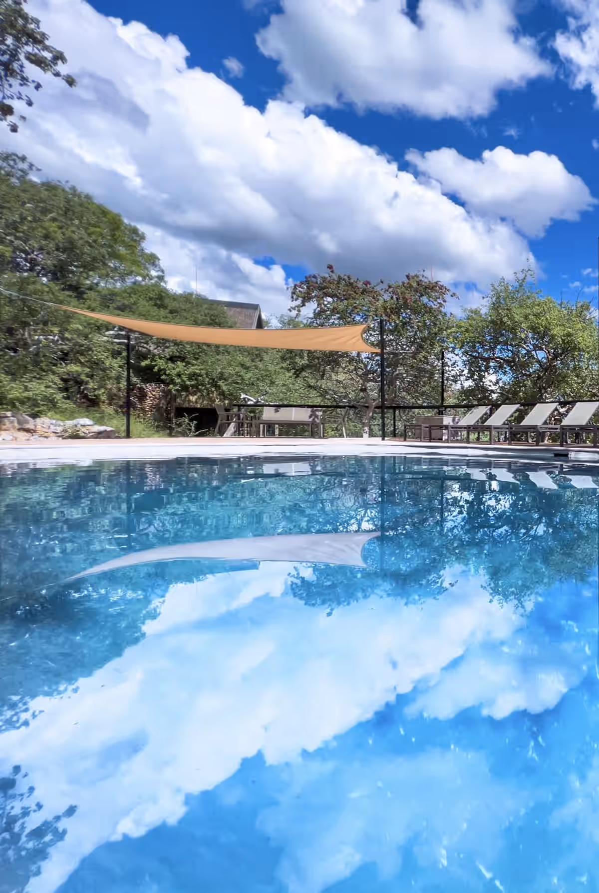 Ongava Lodge gallery 2