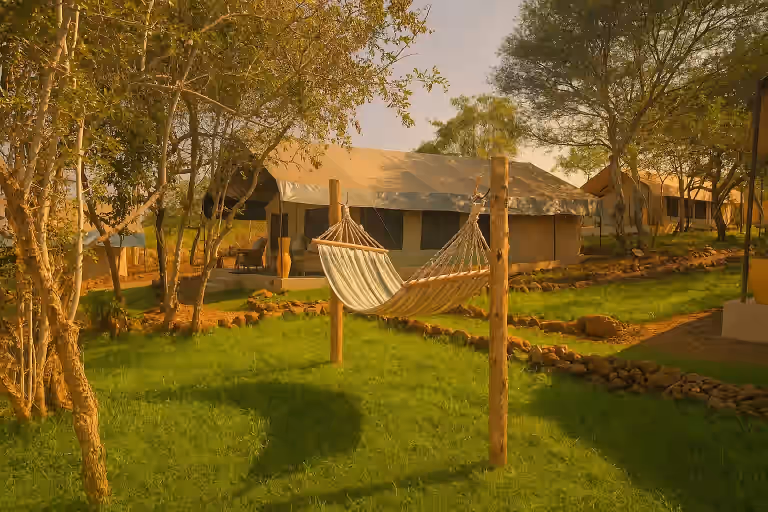 Safari Comfort