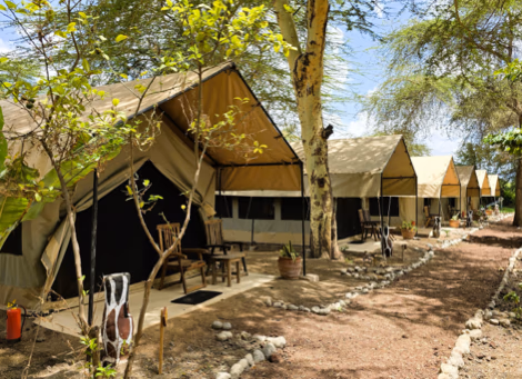 Africa Safari Manyara Escarpment Camp gallery 5