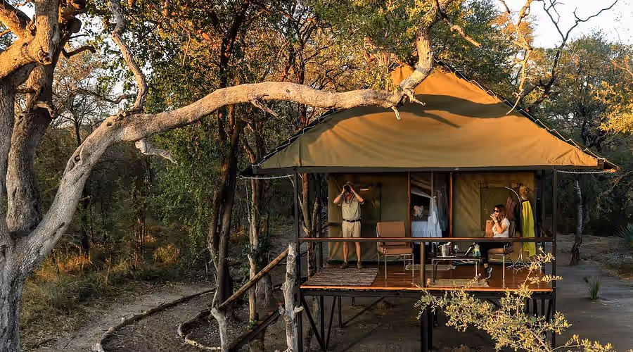 Bomani Tented Lodge (Imvelo Safari Lodges) gallery 3