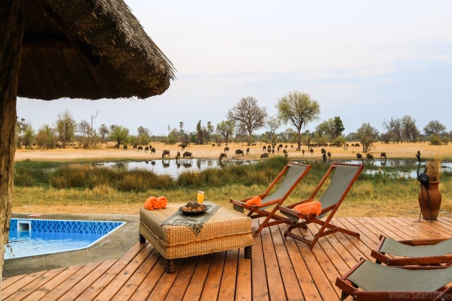 Bomani Tented Lodge (Imvelo Safari Lodges) gallery 4