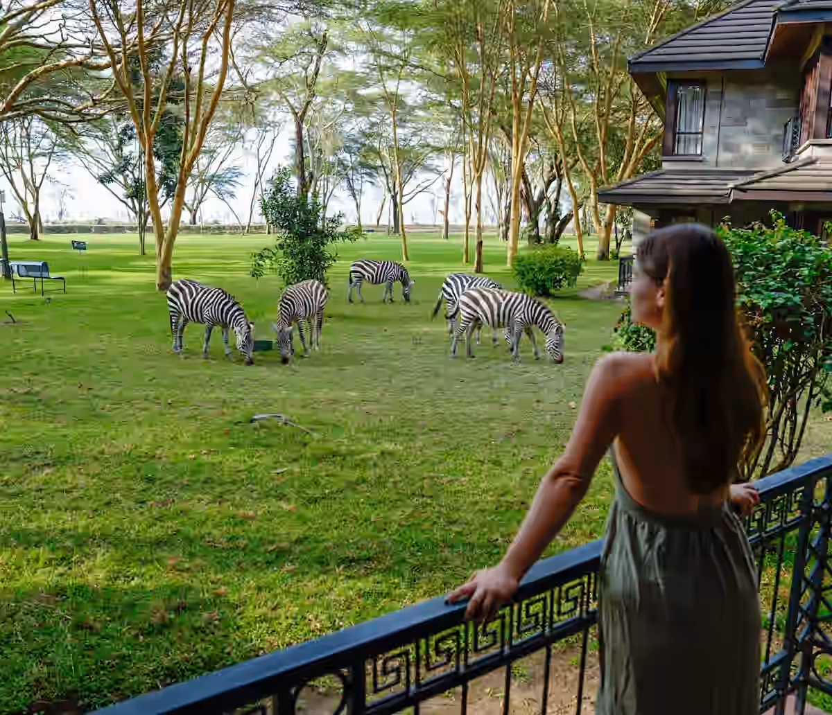 Lake Naivasha Simba Lodge gallery 1