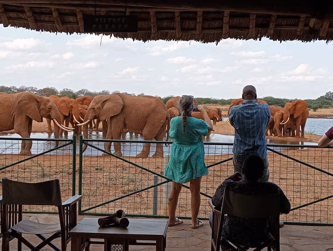 Voi Wildlife Lodge gallery 1