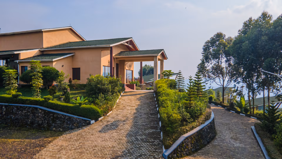 Gorilla Heights Lodge gallery 11