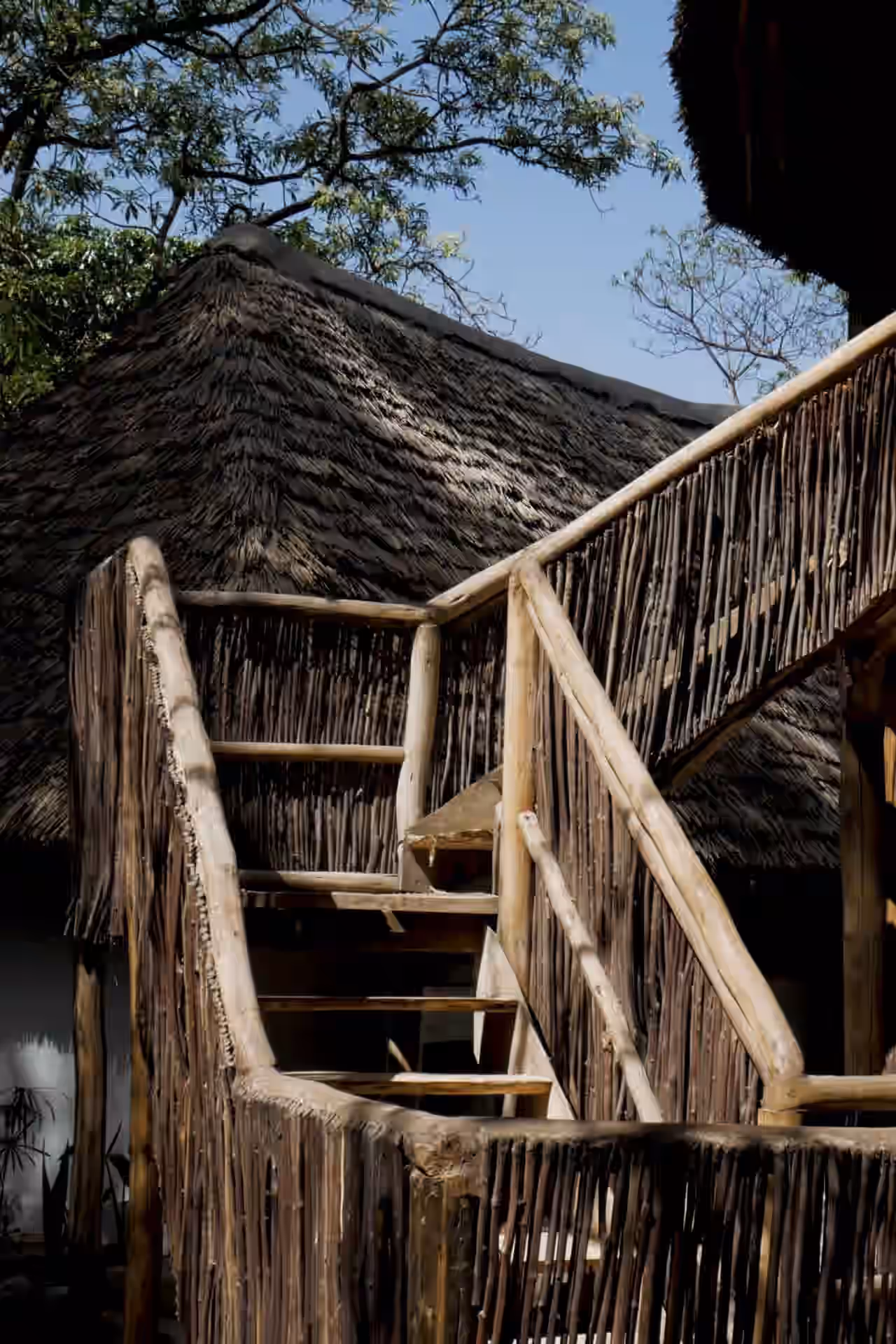 Jungle Pearl Resort gallery 2