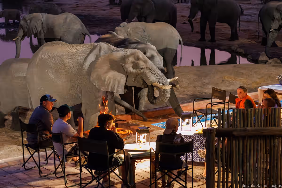 Bomani Tented Lodge (Imvelo Safari Lodges) gallery 0