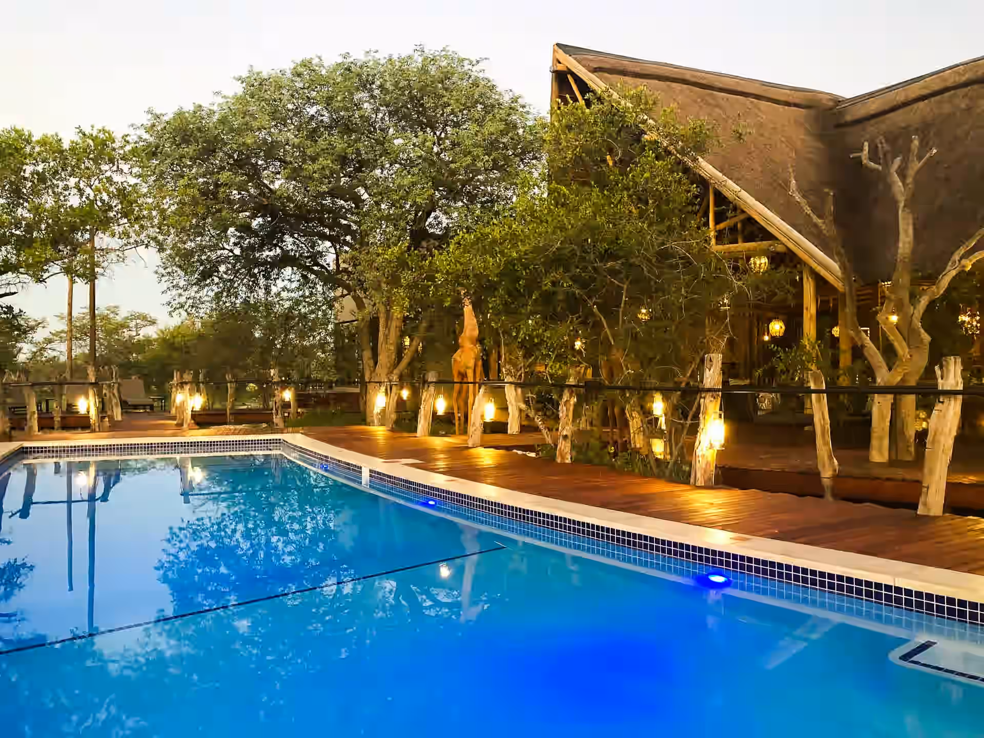 Etosha Oberland Lodge gallery 5