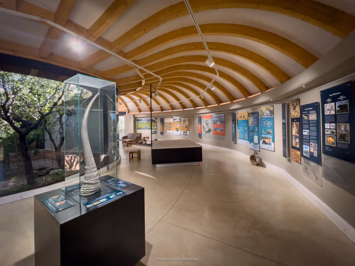 Ongava Lodge gallery 11