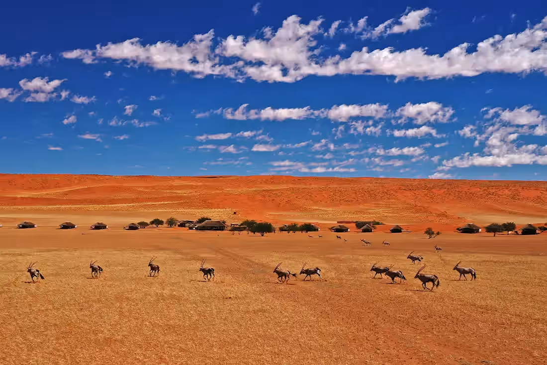 Kwessi Dunes Lodge gallery 5