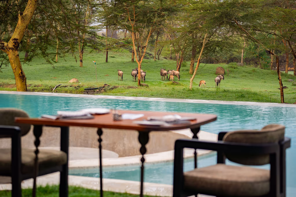 Giraffe Manor Tanzania gallery 10