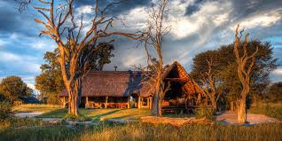 Bomani Tented Lodge (Imvelo Safari Lodges) gallery 2