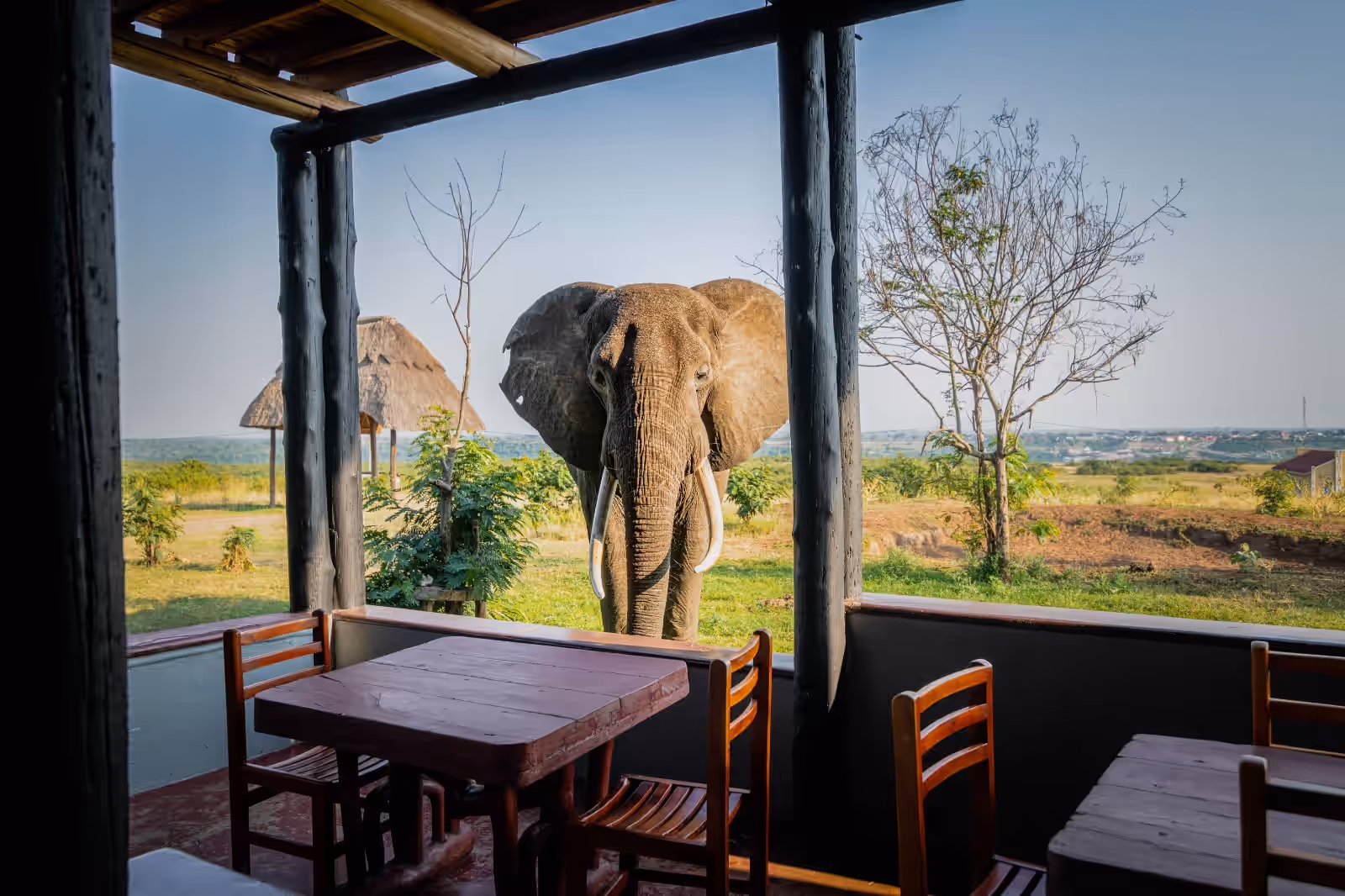 Enshama Game Lodge & Campsite gallery 2