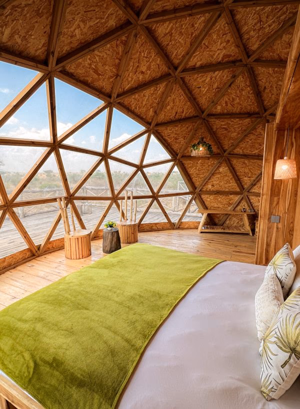 Savana Suite
