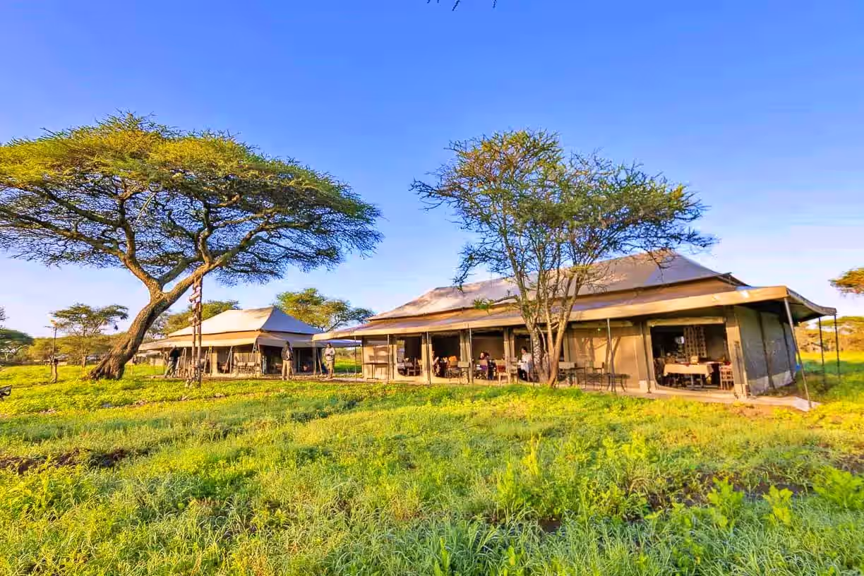 Tanzania Bush Camp (Ndutu) gallery 5