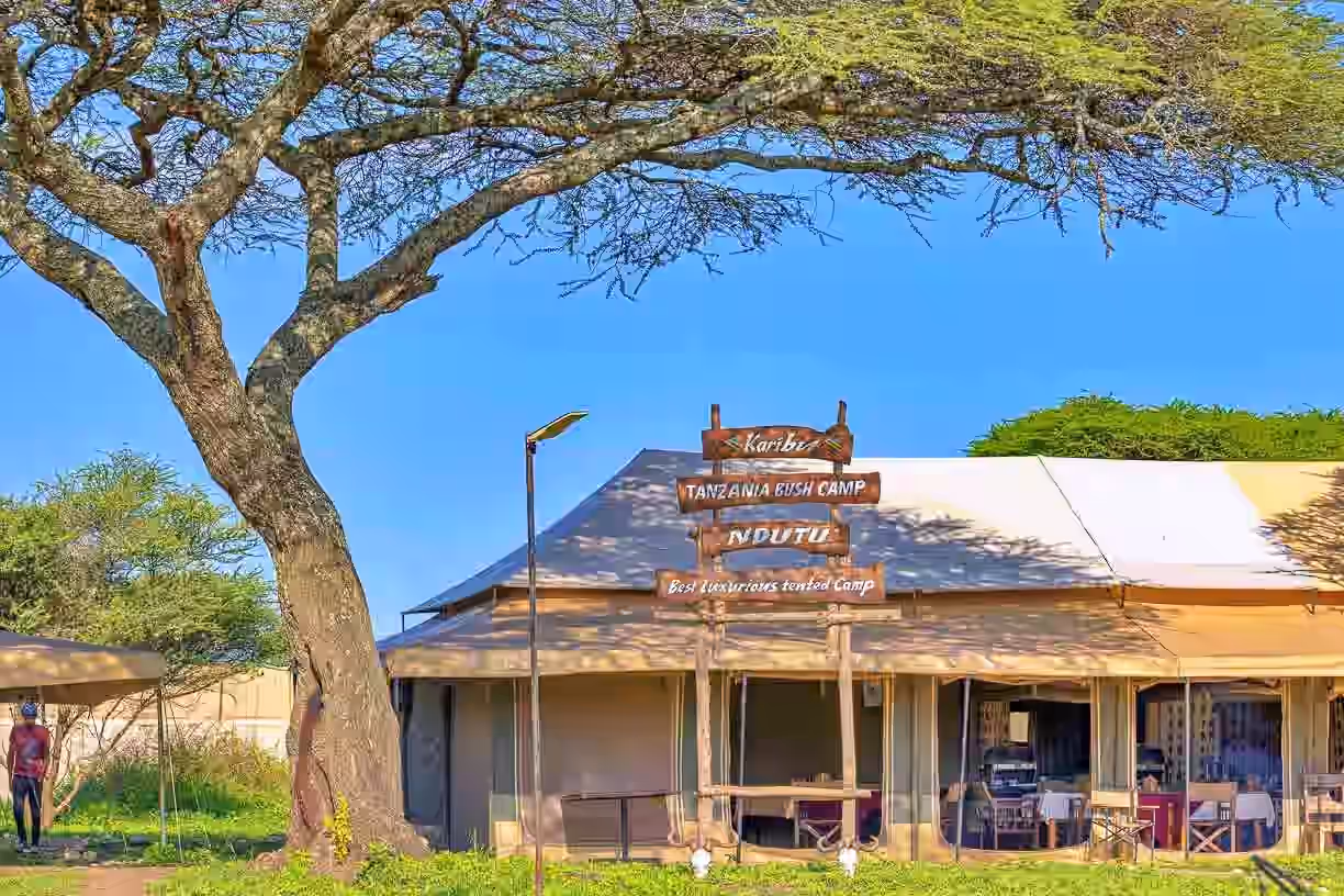 Tanzania Bush Camp (Ndutu) gallery 3