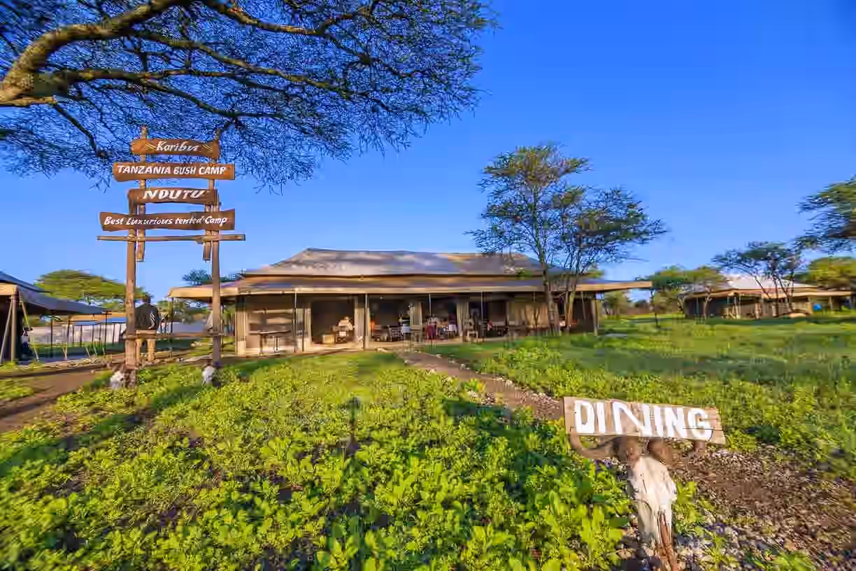 Tanzania Bush Camp (Ndutu) gallery 2