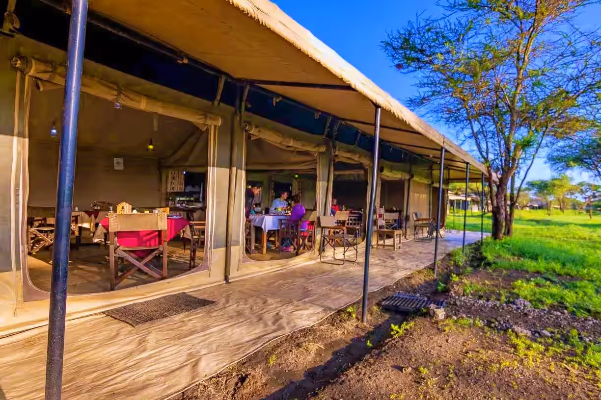 Tanzania Bush Camp (Ndutu) gallery 1