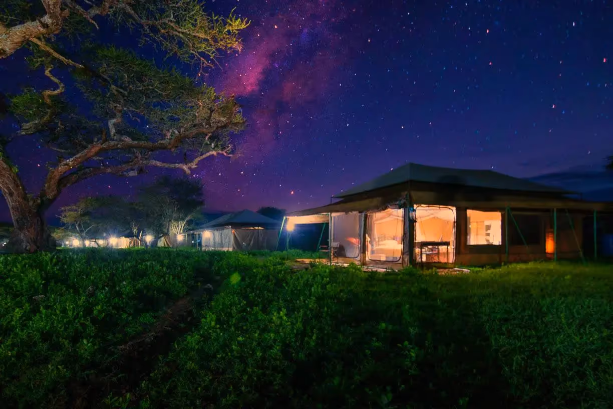 Tanzania Bush Camp (Ndutu) gallery 4