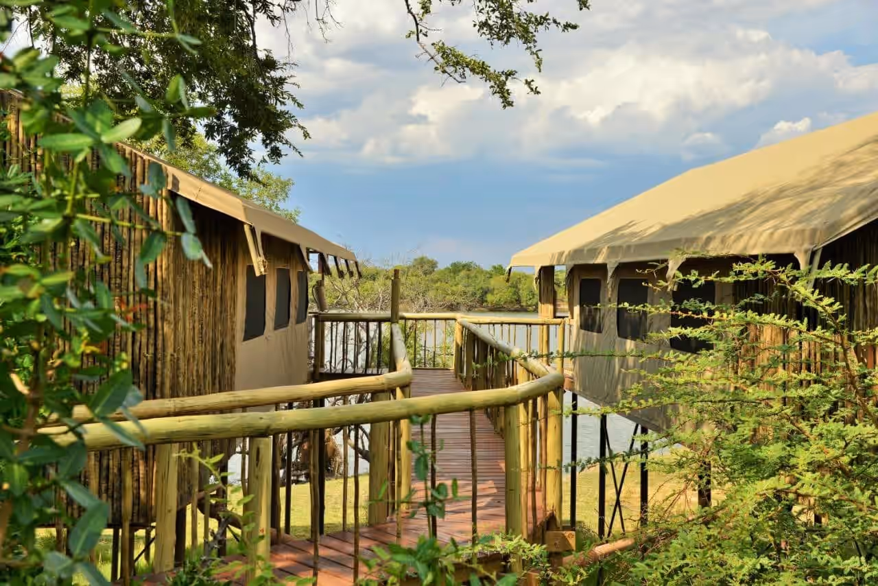 Jackalberry Camp (Jackalberry Chobe) gallery 2