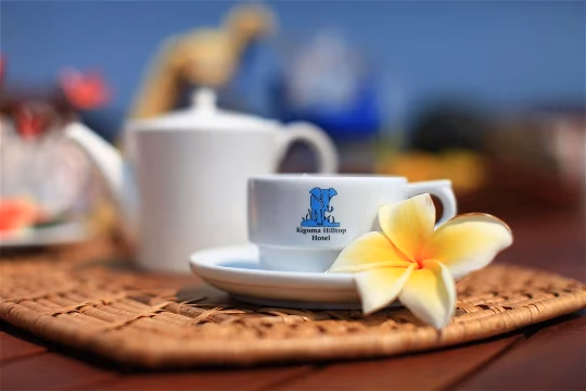 Kigoma Hilltop Hotel gallery 1