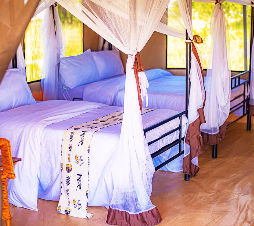 Sero Tented Camp (Ndutu) gallery 4