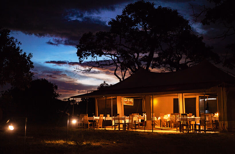 Sero Tented Camp (Ndutu) gallery 3