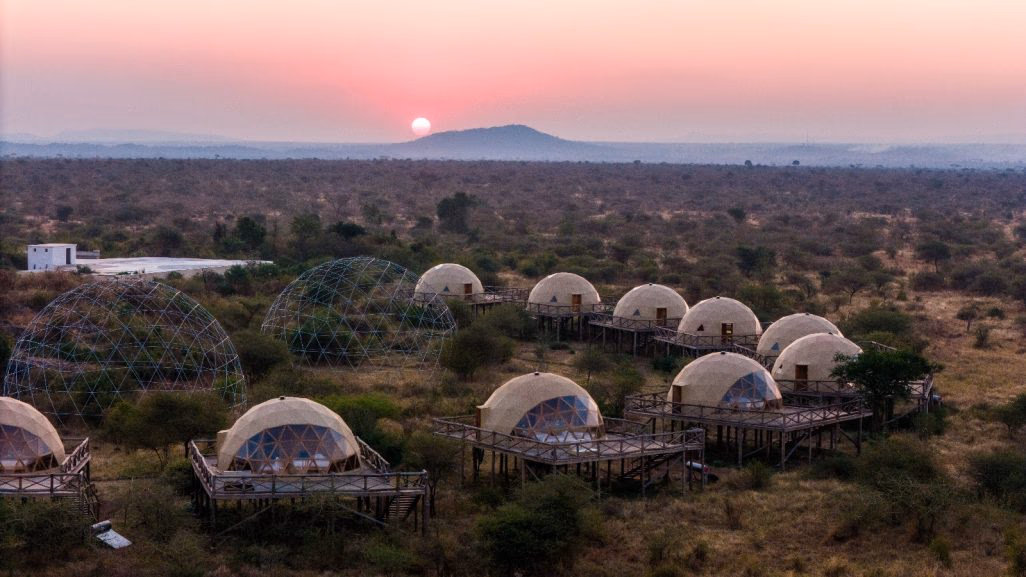 Kuoom Serengeti gallery 5