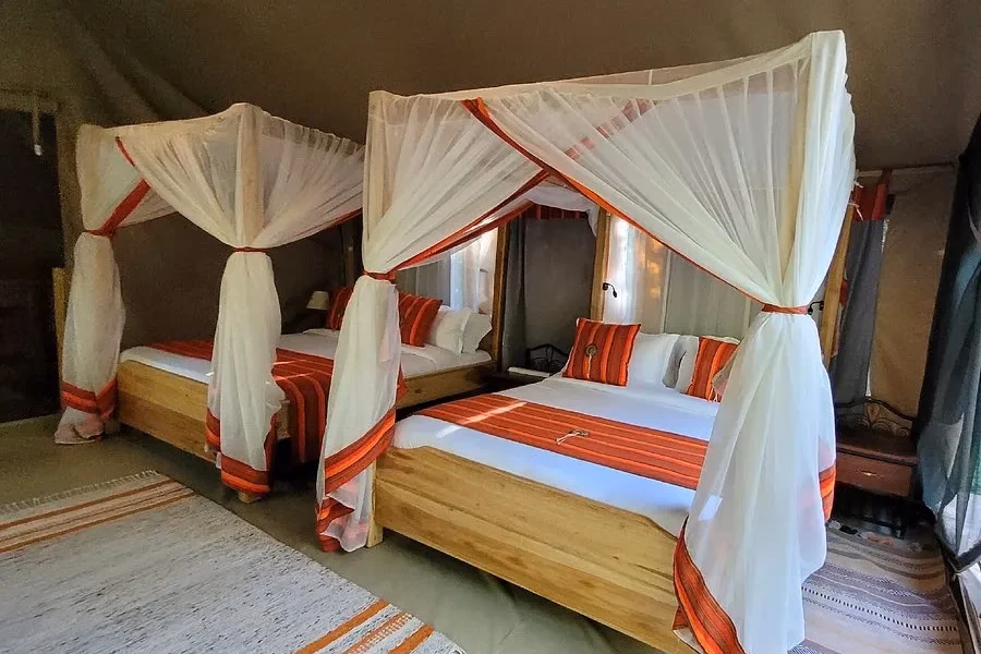Standard Family Tent