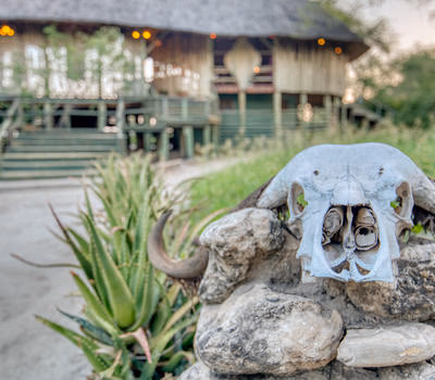 Mbali Mbali Tarangire River Camp gallery 7