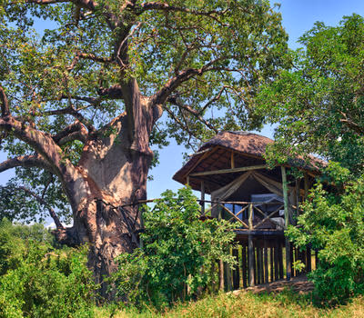 Mbali Mbali Tarangire River Camp gallery 11
