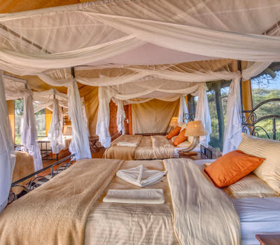 Mbali Mbali Tarangire River Camp gallery 10
