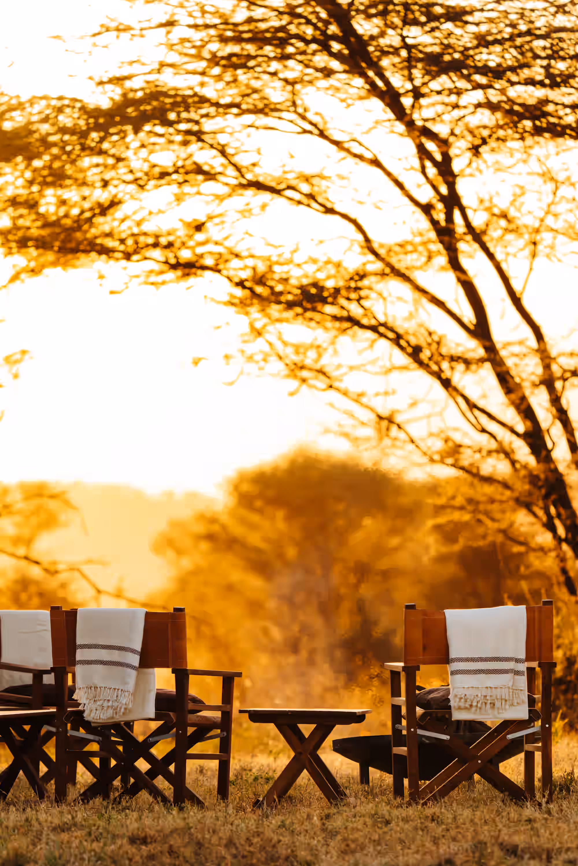 Awali Serengeti Camp gallery 5