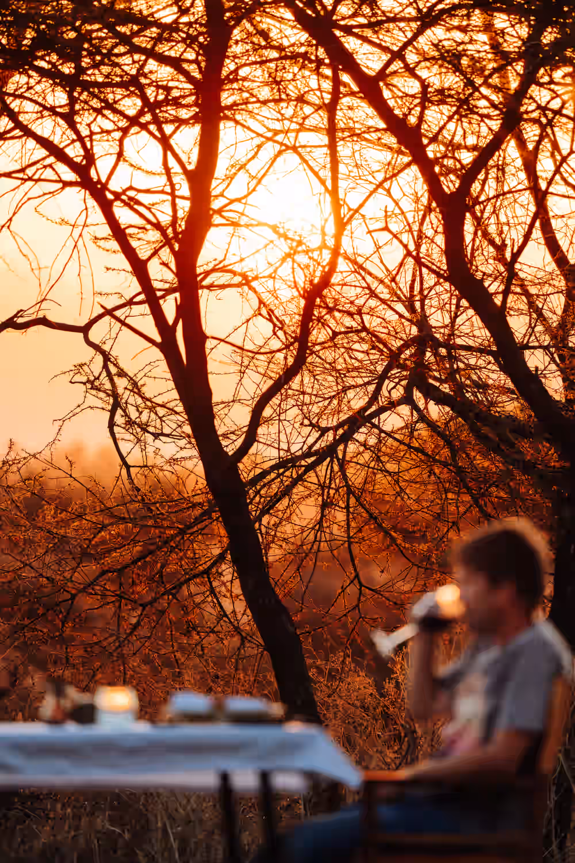 Awali Serengeti Camp gallery 8