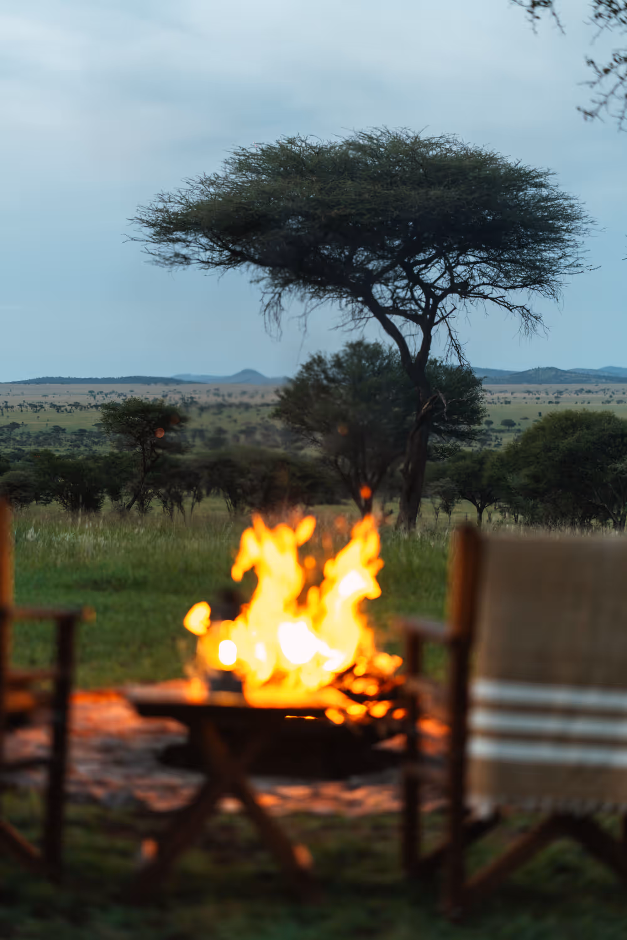 Awali Serengeti Camp gallery 7