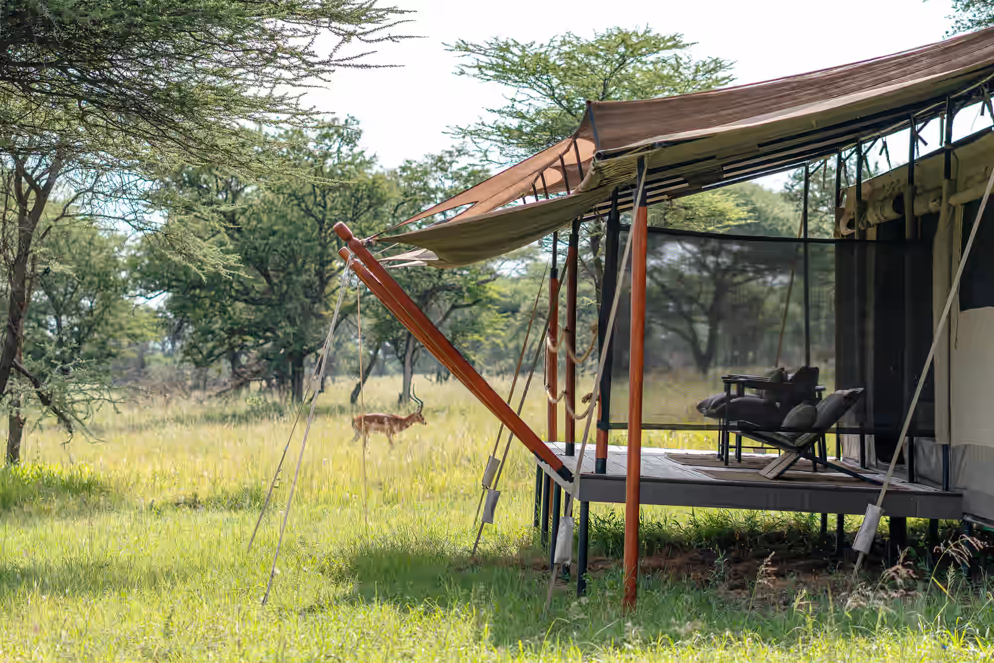 Awali Serengeti Camp gallery 14