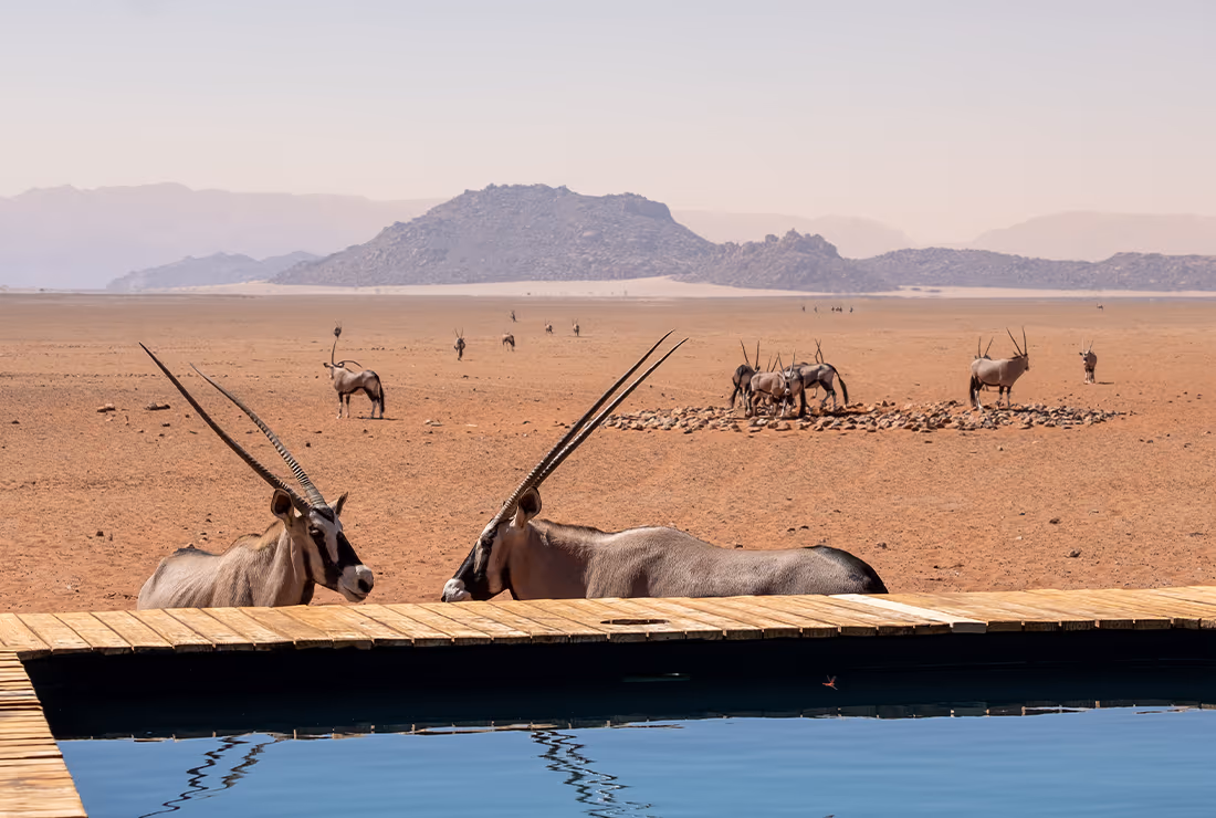 Kwessi Dunes Lodge gallery 12