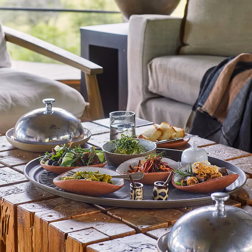 Mwiba Lodge gallery 3