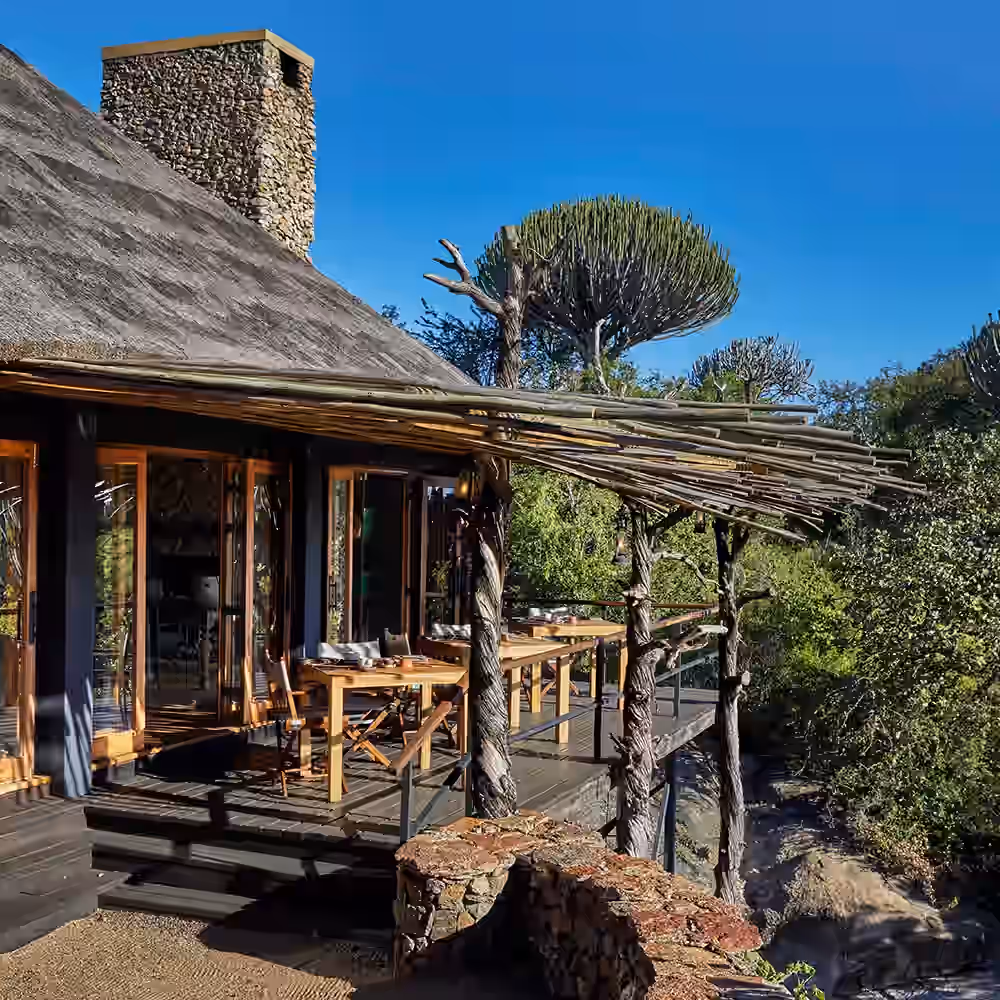 Mwiba Lodge gallery 11