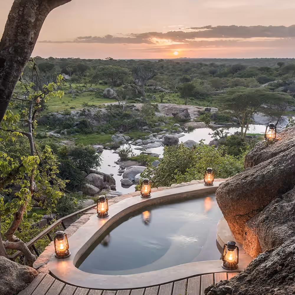 Mwiba Lodge gallery 13