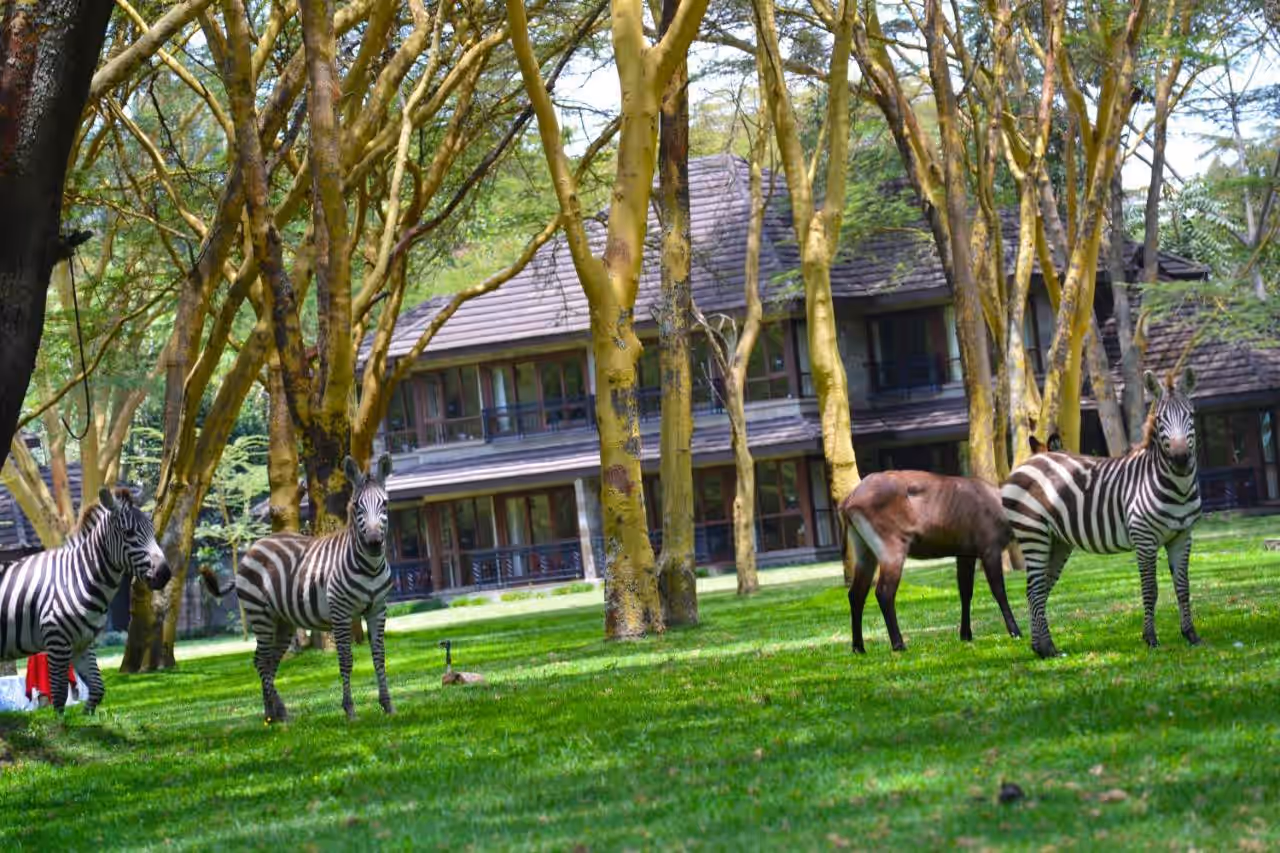 Lake Naivasha Simba Lodge gallery 0