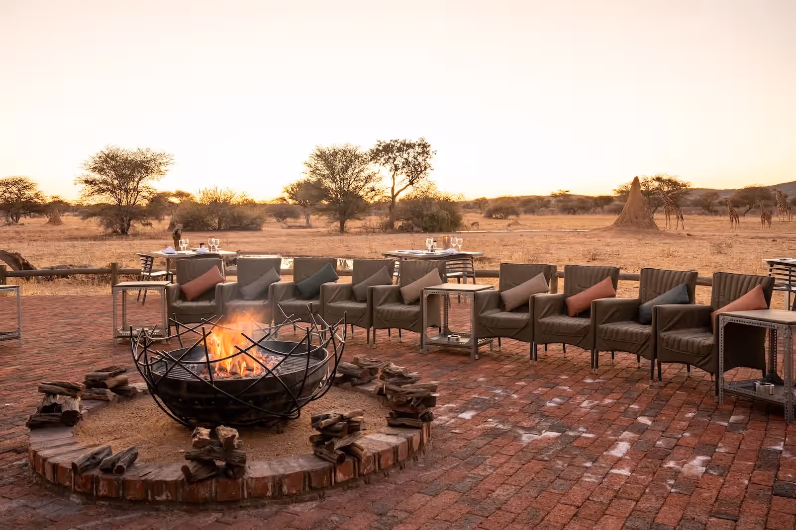 Okonjima plains Camp gallery 3
