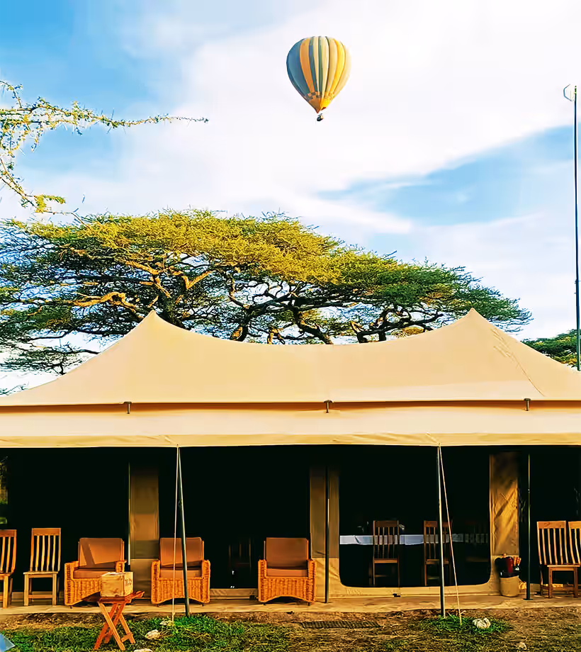 Sero Tented Camp (Ndutu) gallery 6
